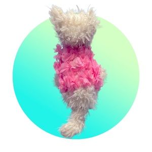 Dog Vest with D Ring